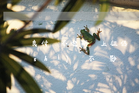 支付寶不逾期會上征信嗎，支付寶還款及時(shí)，會不會影響個(gè)人征信記錄？
